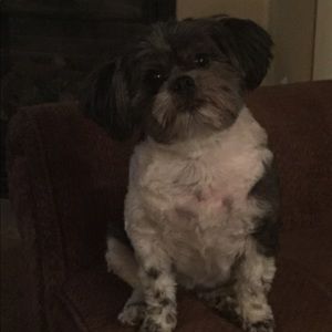 Meet your Posher, Karekaren